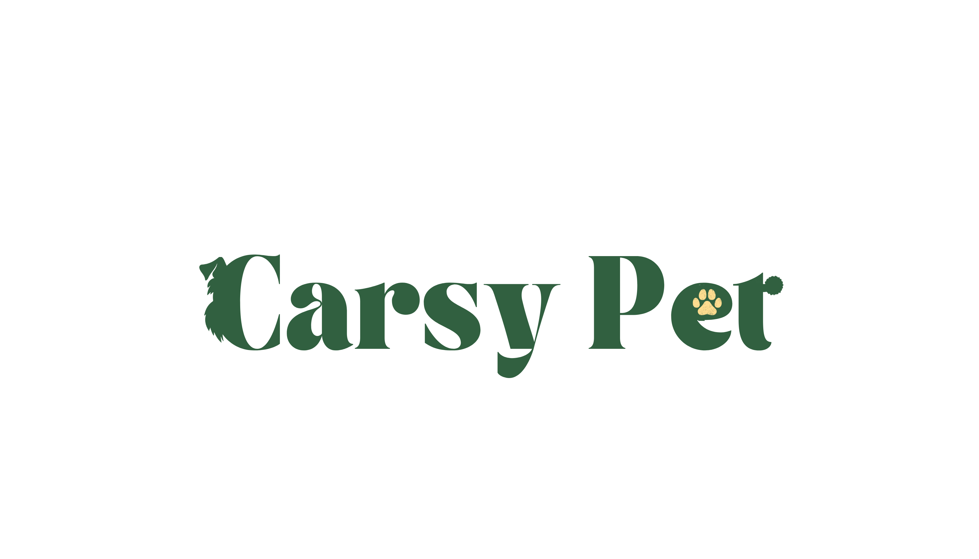 Carsy Pet